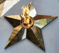 Звезда переносной модуль (513895) монтаж комплект горелка ГВД 379 10 89 00 ПС мобильная  в Обнинске