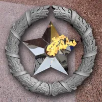 Венок вечный огонь чугун звезда нержавеющая сталь в Обнинске (518577)