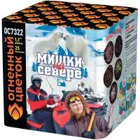 Салют Мишки на севере ОС7322 в Обнинске доставка Огненный Цветок