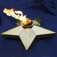 Звезда Ø 1100 - горелка ГВД 379 10 89 00 ПС (1636) в Обнинске